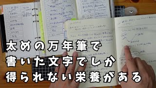 【朝の手帳時間】太めの万年筆で書いた文字でしか得られない栄養があるんです