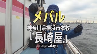 神奈川県・横浜本牧港・長崎屋「活きエビで狙う！メバル釣り」