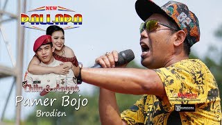 PAMER BOJO - BRODIEN -NEW PALLAPA LIVE KUPU  WEDDING CHITA & ANGGA- TEGAL