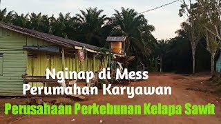 Mess Perumahan Karyawan Perkebunan Kelapa Sawit Malam Hari