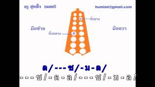 ฝึกเป่าแคนแบบง่ายๆ บทที่ 2 เต้ยโขง thai music