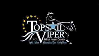 Topsail Viper European Championship Junior Reining