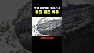 옛날 사람들이 이무기나 용을 믿은 이유