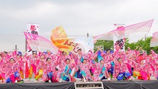 [4K] ひなた　2日目　犬山踊芸祭 2019