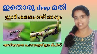 ഇതിലെ ഒരു drop മതി വീടിന്റെ പരിസരത്ത് പോലും വരില്ല/@dhakshinadesigns