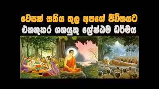 වෙසක් සතිය තුල දැකිය යුතු ශේෂ්ඨම ධර්මය..Maha Rahathun Wedi Maga Osse