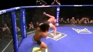 O NOCAUTE MAIS BONITO - UFC