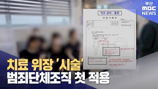 '치료 위장 미용시술' 병원에 범죄단체조직 혐의 첫 적용 (2024-11-19,화/뉴스데스크/부산MBC)