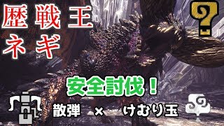 【MHW】歴戦王ネルギガンテ　けむり玉活用で安全に討伐！　散弾ヘビィ　ソロ