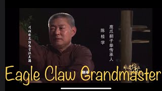 Eagle Claw System President of China Baoding Chin Woo Association Grandmaster Chen GuiXue