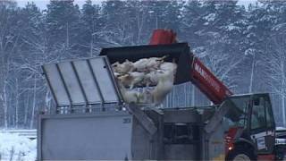 Geitenhouderij in Bakel geruimd