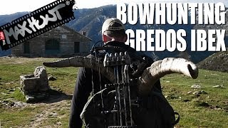 Bowhunting Gredos Ibex - Max Hunt in Spain