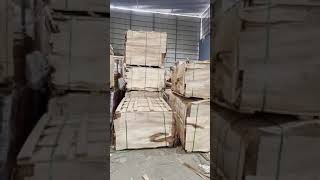 Okoume Gurjan Face Veneer warehouse view