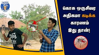 🦟கொசு ஒருசிலர அதிகமா கடிக்க காரணம் இது தான்! | Is it true that mosquito bites some people more?