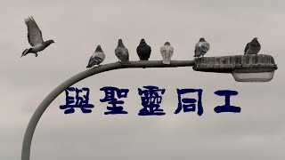 与圣灵同工的新生活（四）与圣灵合一，被圣灵引导 江涌流牧师讲道集 2021/06/16