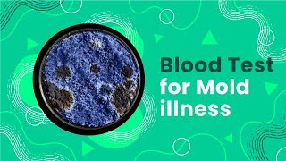 Blood Test for Mold Illness