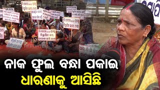 ନାକ ଫୁଲ ବନ୍ଧା ପକାଇ ଧାରଣାକୁ ଆସିଛି | Odisha Reporter