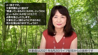 【佐藤ママが語る！】「文章を正しく読むようにするための対策」