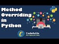 Method Overriding in Python || Python Polymorphism (OOPS) || Python Tutorial || Python Programming