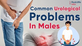 ✅ Common Urological Problems In Males | ✅ Urology Problems and Symptoms in Hindi