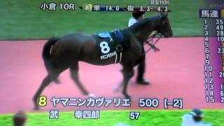 2014/8/9小倉10R 筑紫特別 サラ系3歳以上 1200m 芝・右（混合）［指定］ 3歳以上500万円以下