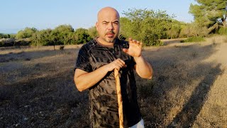 Nidos de Pájaros de 20 Especies de Campo