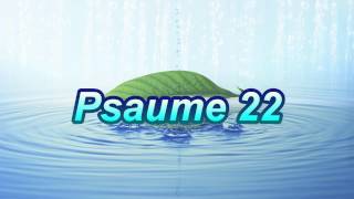 Psaume 22