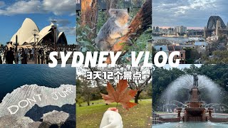 [Vlog] SydneyVlog｜Opera House｜ObservatoryHill｜DontJump｜爬了半个小时到达悬崖边｜下大雨的悉尼歌剧院｜悉尼烟花秀｜海鲜龙虾｜动物园