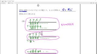 高校「生物基礎」解説講義：遺伝子とそのはたらき⑧