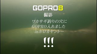 GOPRO8撮影 ワカサギ釣りの穴へGOPRO入れましたinホロカヤントー