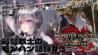 【MHR:SB】メルゼナを拝みに行く！【#新人VTuber】