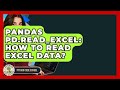 Pandas Pd.read_excel: How To Read Excel Data? - Python Code School