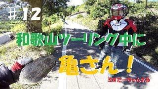 【CB400SF】近畿　和歌山♪リスナーさんと絶景へ　12話