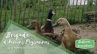 CET #15 Brigade d'actions paysannes à la Ferme du Coin coin