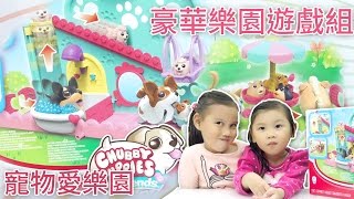 Chubby Puppies Pet Amusement Park Toys Luxury Paradise Game Group Toys