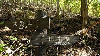 山北・大野山 つぶらの公園散歩