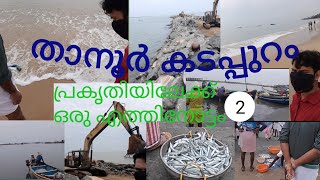 താനൂർ കടപ്പുറം|TANUR BEACH|FISH MARKET|MALAPPURAM