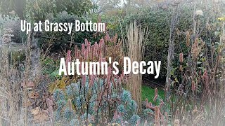 Autumn's Decay , a tour around the garden with a visit from Des as Autumn begins to show.