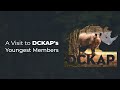 A Visit to DCKAP's Youngest Members