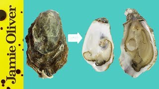 How To Open Oysters | 1 Minute Tips | Bart’s Fish Tales