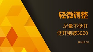 量化技术分析20240319 轻微调整 尽量不低开  低开别破3020