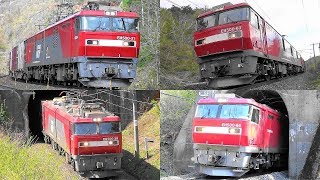 2019,5,12 貨物列車 いろいろいっぱい19本 大迫力モーター音と豪快ジョイント音‼警笛‼ トンネルを抜け十三本木峠に挑む高速貨物列車たち #貨物列車 #貨物列車いろいろいっぱい #高速貨物列車