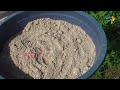 tips for summer groundnut etv telugu