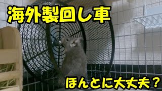 【デグー】海外製の回し車を購入してみた