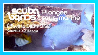 Plongée Nouvelle-Calédonie ⚓ Épave de La Dieppoise Patrouilleur P655 #scubascuba #scubadiving