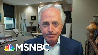 Fmr. Sen. Corker Says Cruz & Hawley Played A Destructive Role On Wednesday | Andrea Mitchell | MSNBC