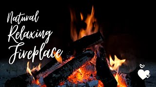 Natural Relax Fire Place Full HD : 1h30