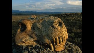 Fireball Earth: The Permian Extinction - History Documentary ✔