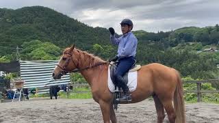 正反動のコツについて　河戸インストラクター\u0026タッチ　エルミオーレ埼玉　2022年5月8日　乗馬上達のコツ