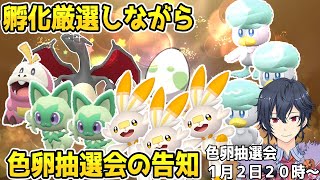 【ポケモンSV】年越し孵化厳選【ポケモンスカーレットバイオレット】